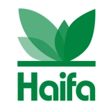 Haifa