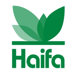 Haifa