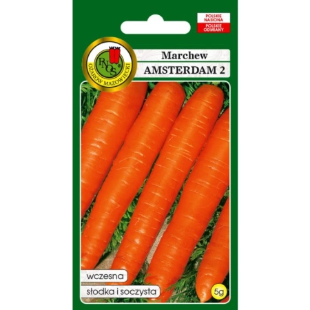 Marchew Amsterdam 5 g