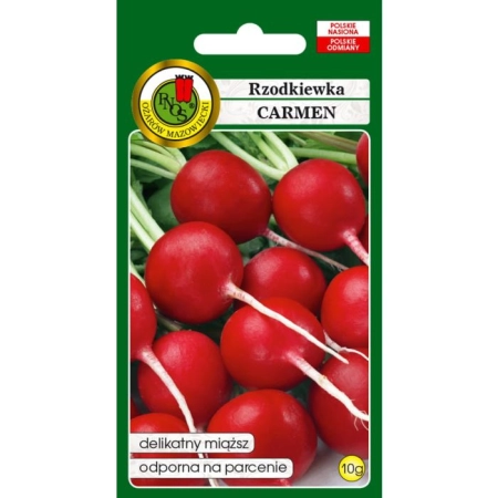 Rzodkiewka Carmen 10g