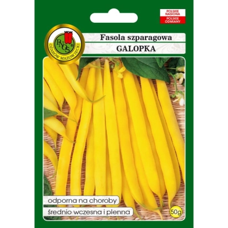 Fasola Szparagowa Żółta Galopka 50 g