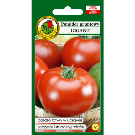 Pomidor Gruntowy Gigant 0,1g
