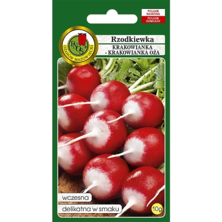 Rzodkiewka Krakowianka 10g