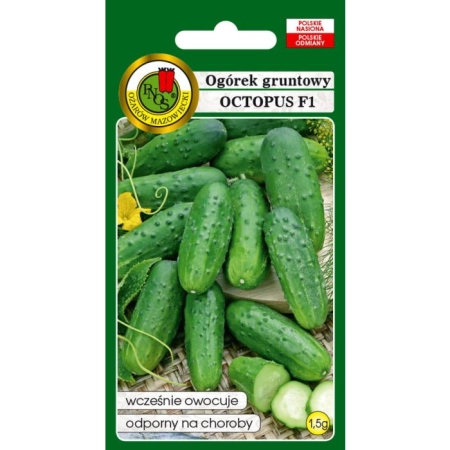 Ogórek Gruntowy Octopus F1 5g