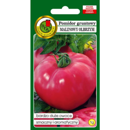 Pomidor Gruntowy Malinowy Olbrzym 1g