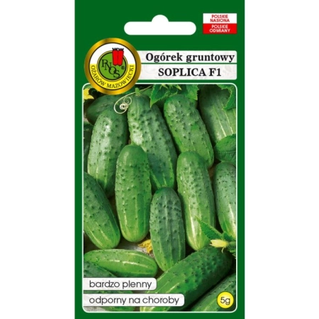Ogórek Gruntowy Soplica F1 5g
