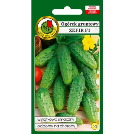 Ogórek Gruntowy Zefir F1 5g